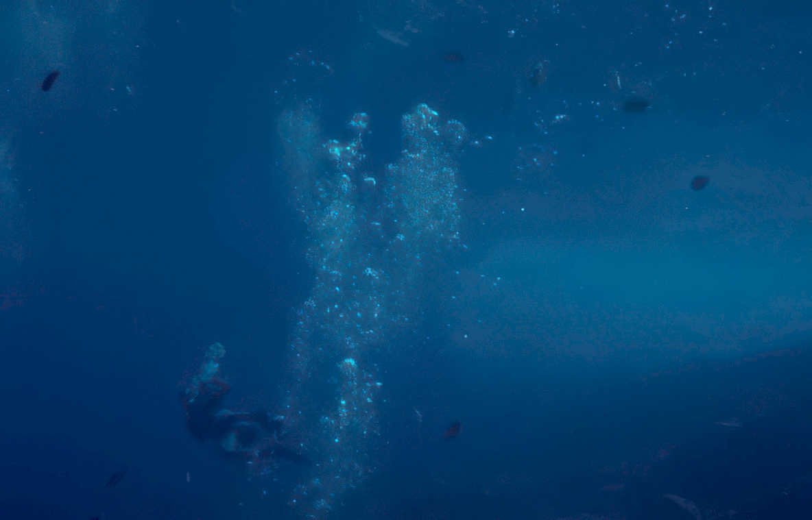 diver blue water 1 GIGA 2