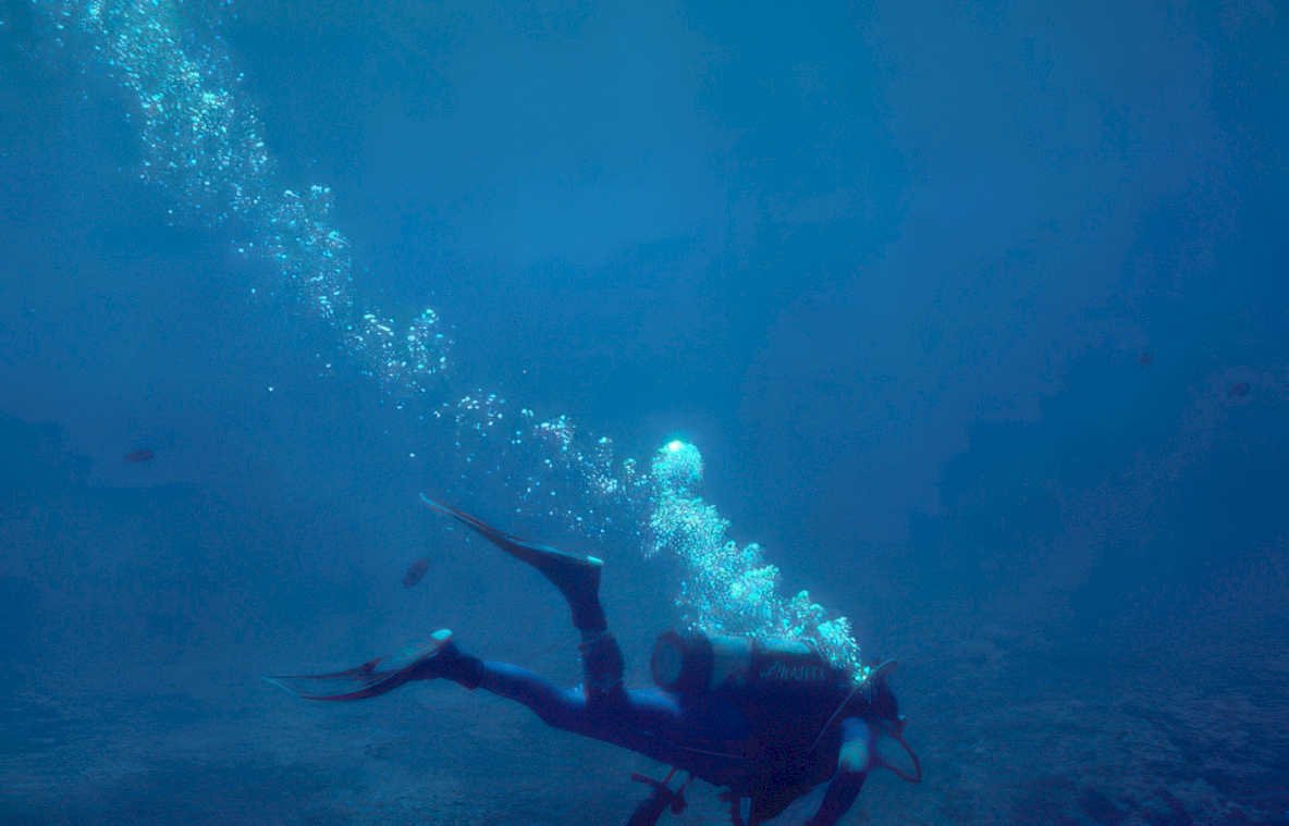 diver blue water 1 Vintage A4 Photo Print