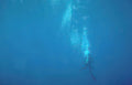 diver blue water 2 Vintage A4 Photo Print