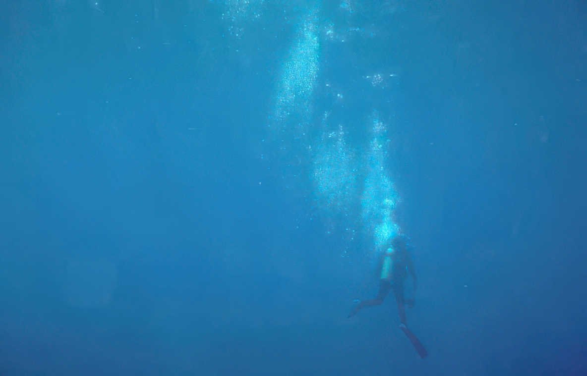 diver blue water 2 Vintage A4 Photo Print