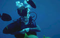 diver fish grouper Vintage A4 Photo Print