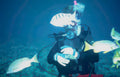 diver fish reef 1 Vintage A4 Photo Print