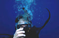 diver octopus bubbles Vintage A4 Photo Print