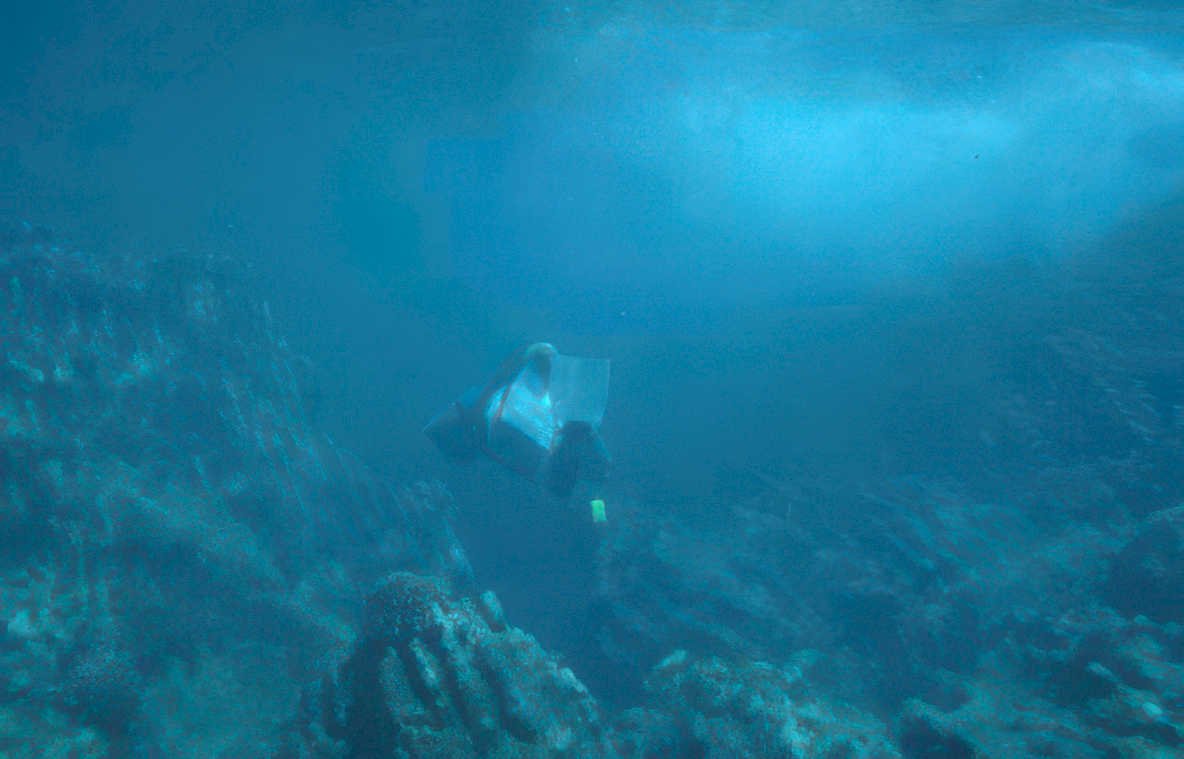 diver reef blue Vintage A4 Photo Print
