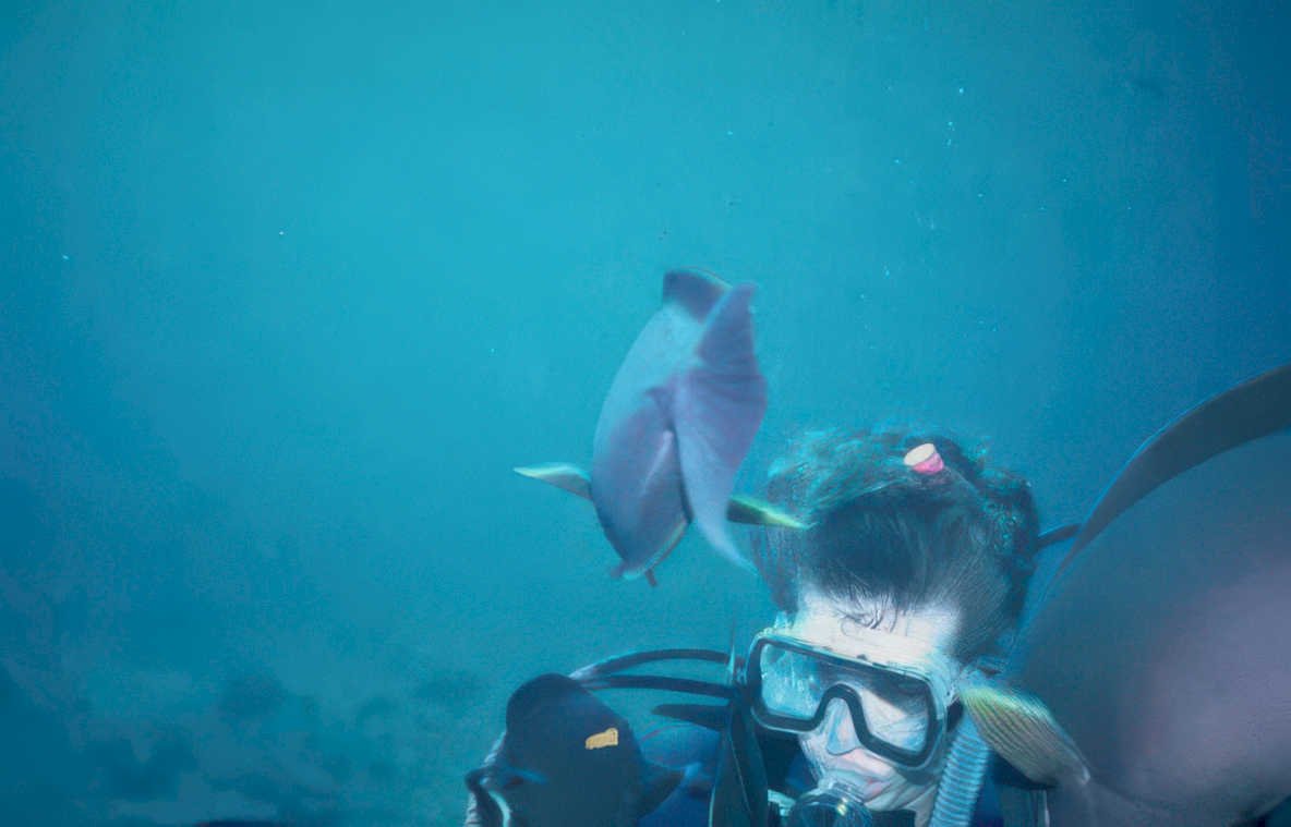 diver stingray ray Vintage A4 Photo Print