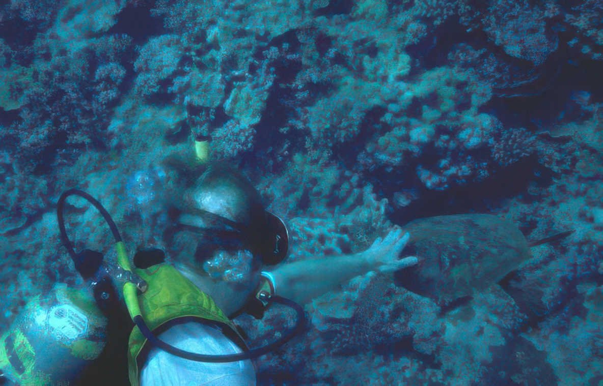 diver turtle reef 1 Vintage A4 Photo Print