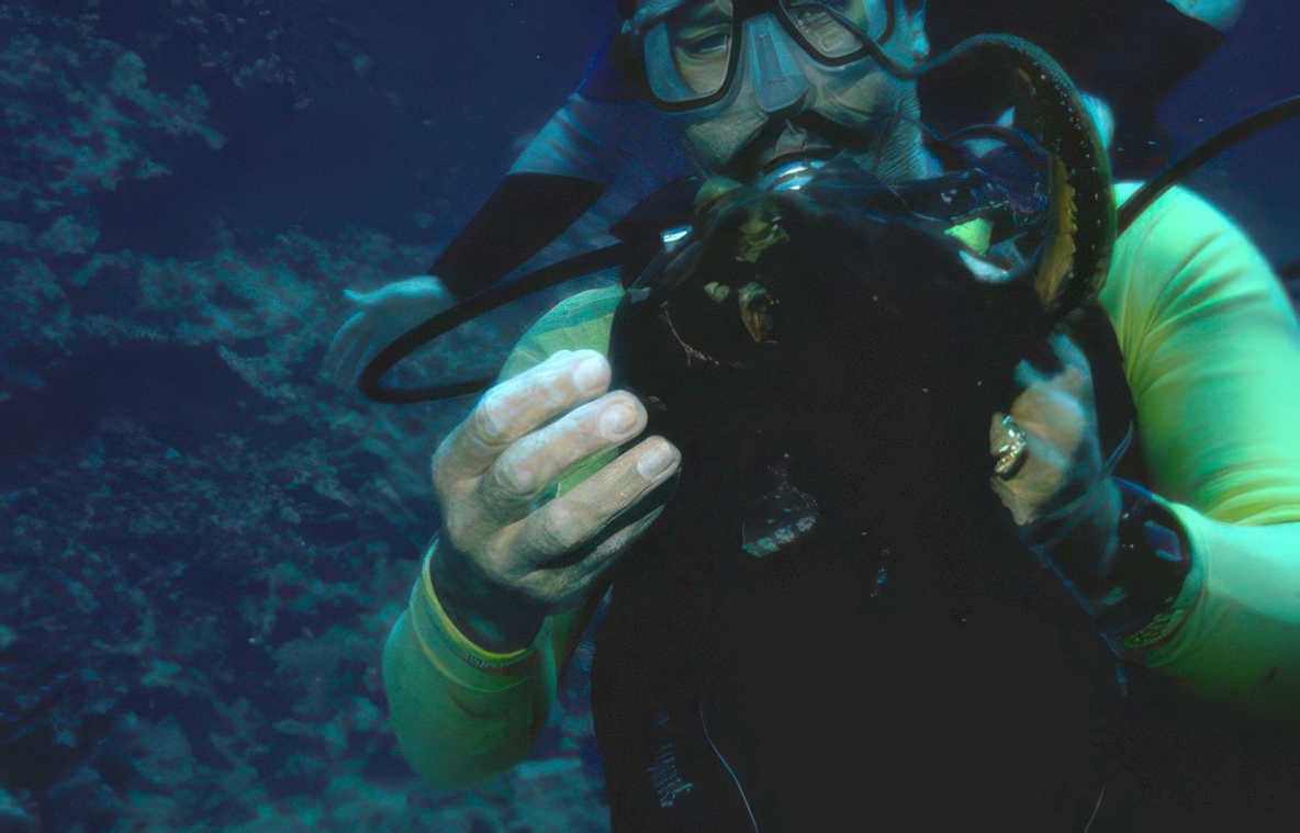 diver turtle reef 2 Vintage A4 Photo Print