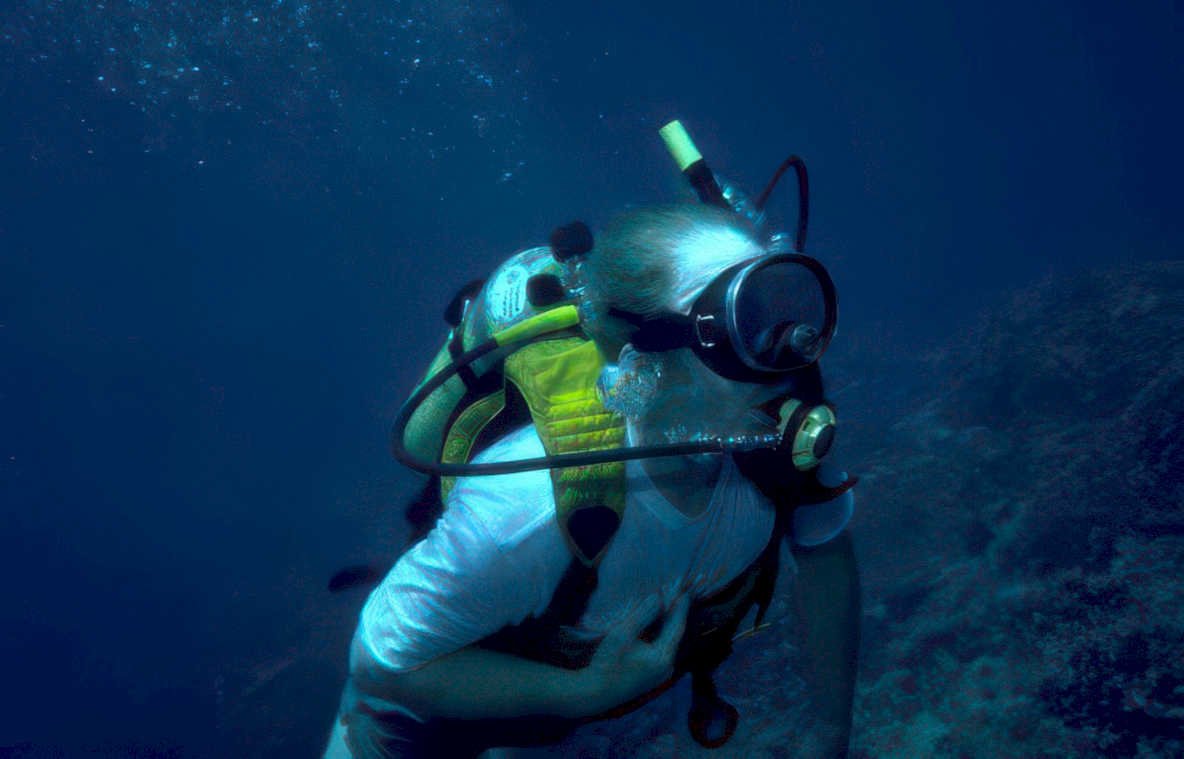 diver underwater scene Vintage A4 Photo Print