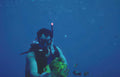 diver yellow fish Vintage A4 Photo Print