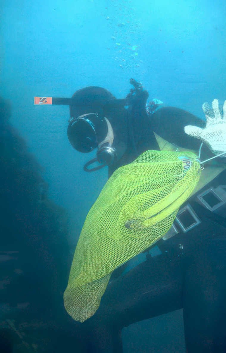diver yellow net Vintage A4 Photo Print