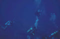 divers tropical bluewater Vintage A4 Photo Print