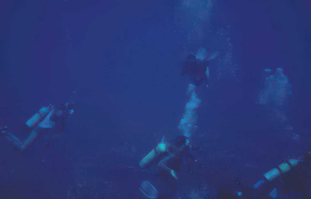 divers tropical bluewater Vintage A4 Photo Print