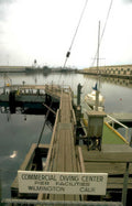 diving center pier Vintage A4 Photo Print