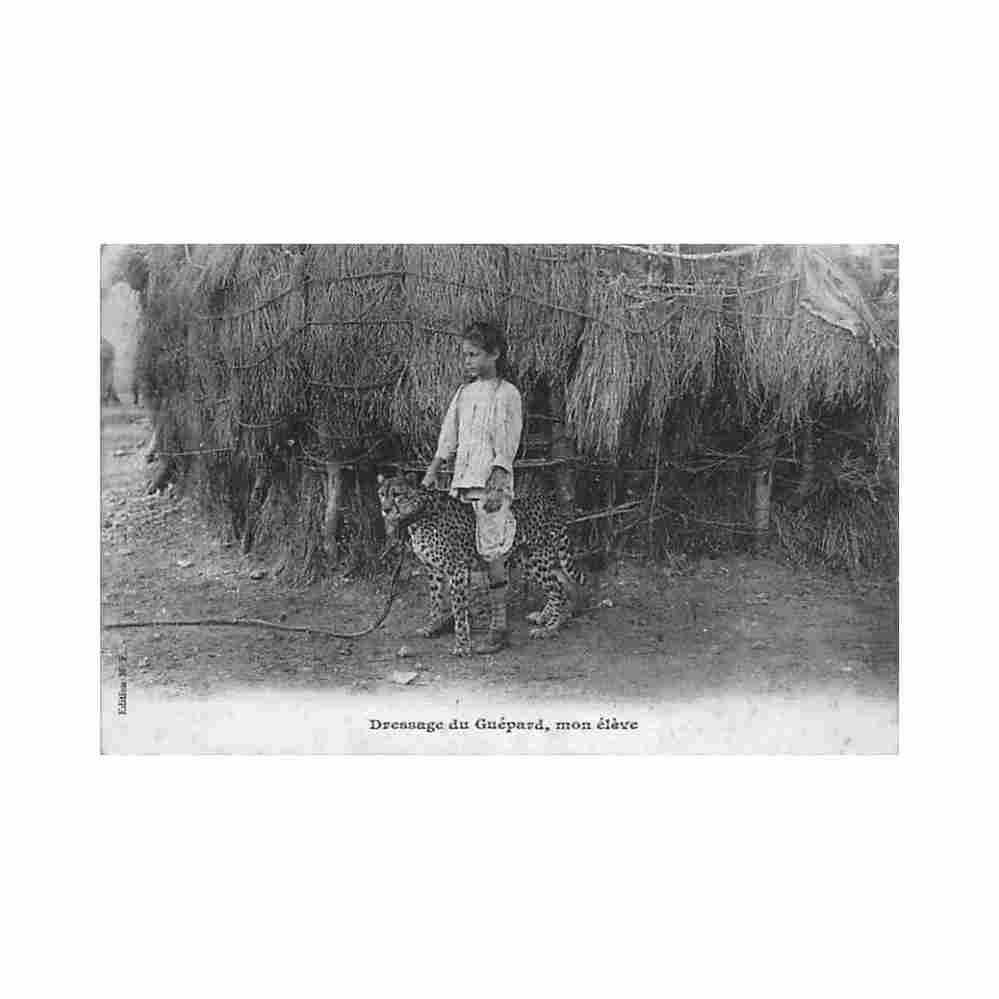 djibouti training of the cheetah my student european child and cheetah m f djibouti dressage du guepard mo Vintage A4 Photo Print