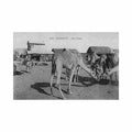 djibouti une place ed messageries maritimes 298 Vintage A4 Photo Print