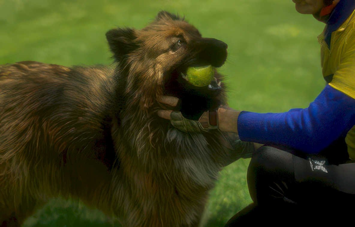 dog tennis ball Vintage A4 Photo Print