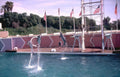 dolphins pool palmsprings Vintage A4 Photo Print