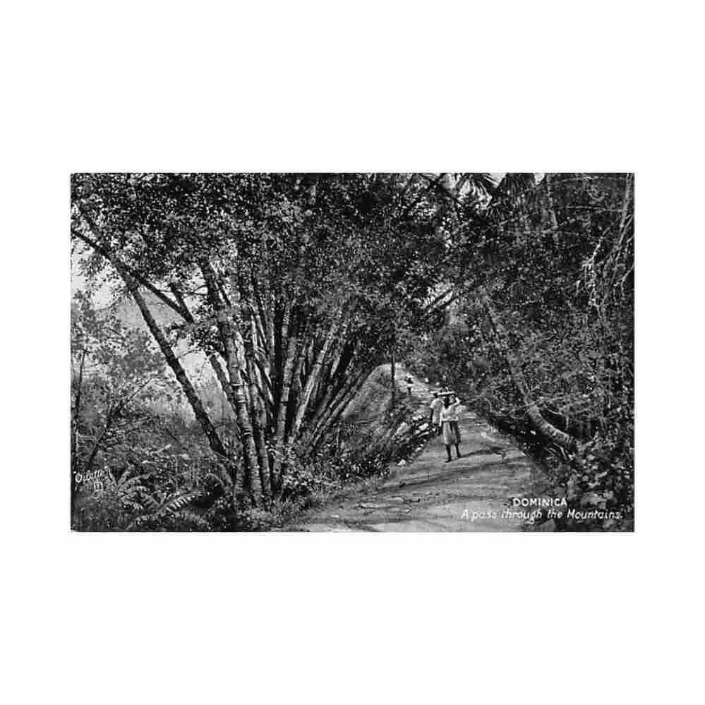 dominica a pass trough the mountain raphael tuck sons Vintage A4 Photo Print