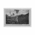 dominica opening up lands geo e pinard series c g phillip Vintage A4 Photo Print