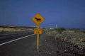 donkey xing roadsign 1980s 1990s A4 Photo Print