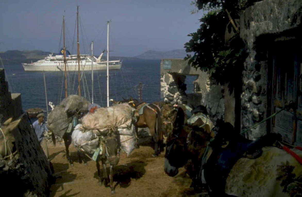 donkeys ship port 1980s 1990s A4 Photo Print