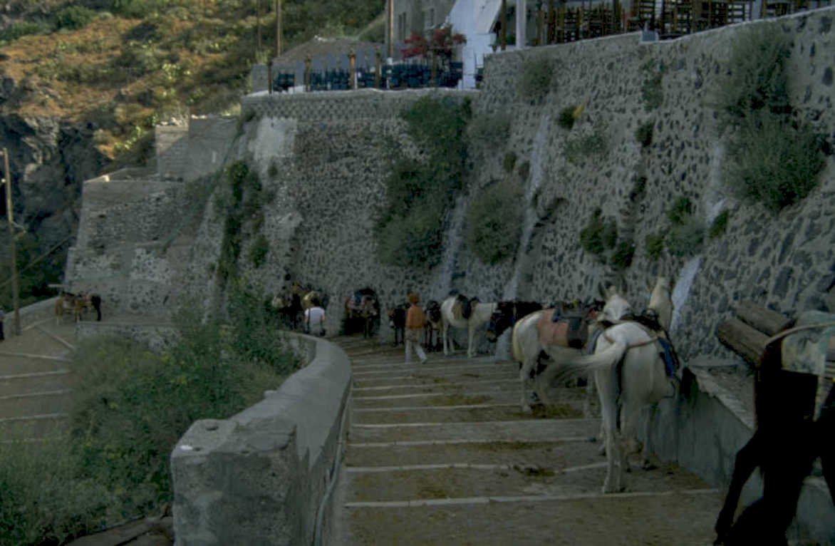 donkeys steps taverna 1980s 1990s A4 Photo Print