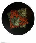 double planetoid colour. mc escher 1949 A4 Photo Print
