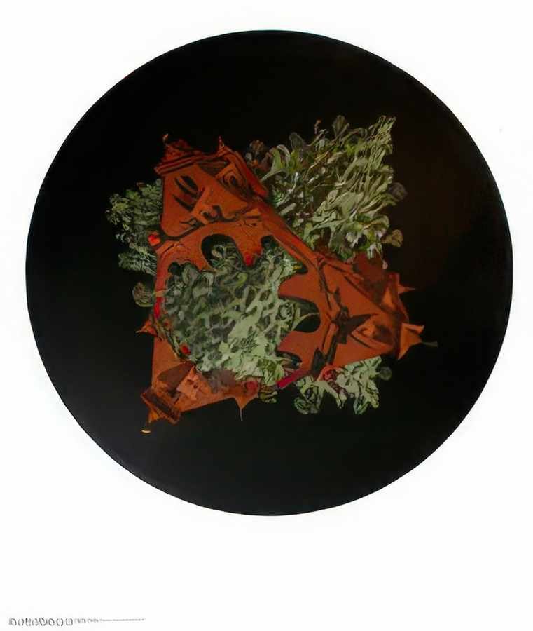 double planetoid colour. mc escher 1949 A4 Photo Print