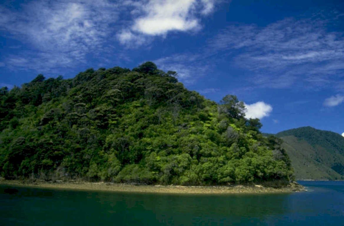 doubtful sound landscape 1980s 1990s A4 Photo Print