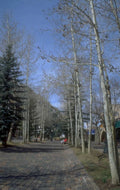 downtown aspen street 1980s 1990s A4 Photo Print