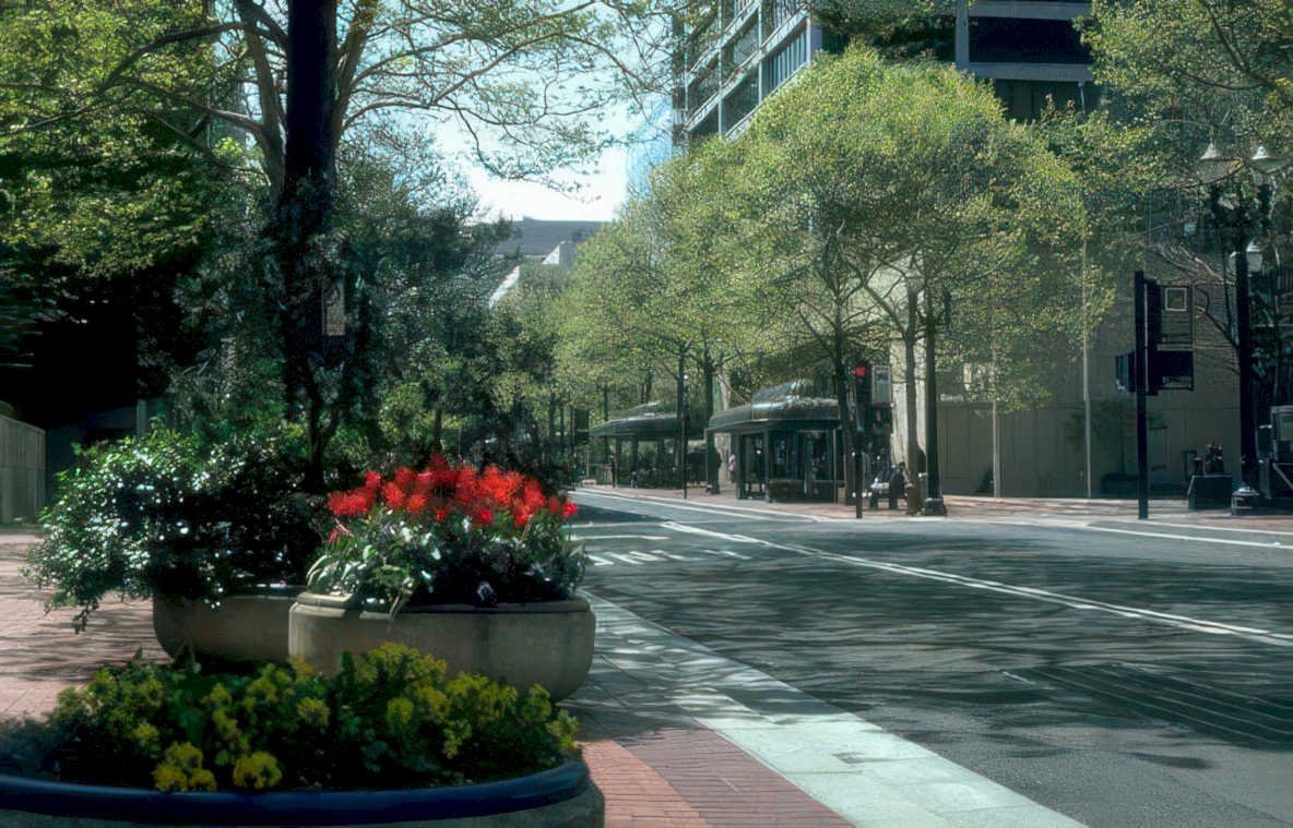 downtown washington street Vintage A4 Photo Print