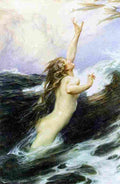 dra Flying Fish Art A4 Photo Print