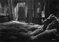 dracula 1958 21 film star poster A4 Photo Print