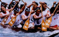 dragon boat rowers1980s 1990s A4 Photo Print 42