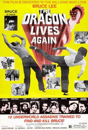 dragon lives again  01 film star poster A4 Photo Print