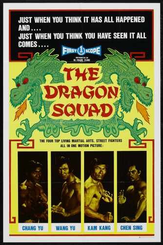 dragon squad  01 film star poster A4 Photo Print