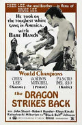 dragon strikes back  01 film star poster A4 Photo Print