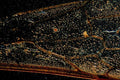dragonfly eye ommatidia1980s 1990s A4 Photo Print