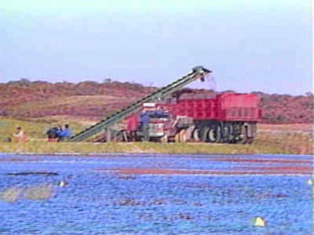 dredger conveyor river1980s 1990s A4 Photo Print