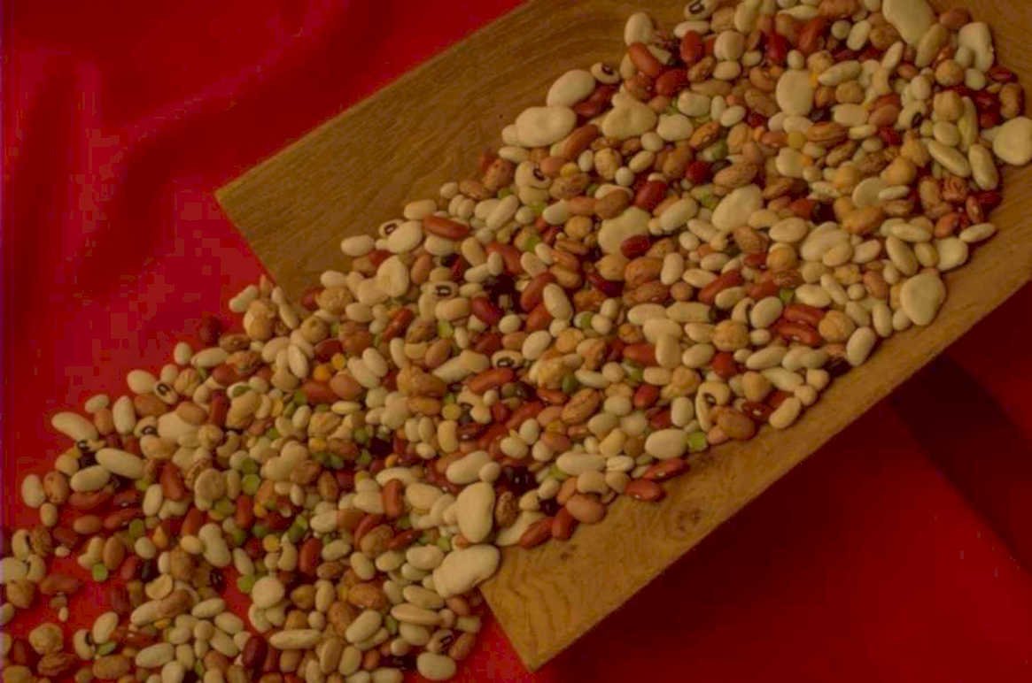dried beans collection 1980s 1990s A4 Photo Print