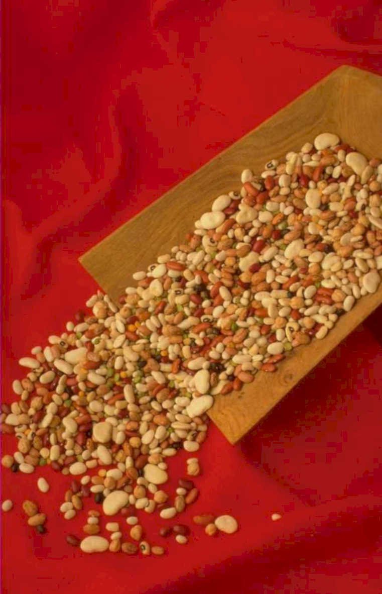 dried beans fabric 1980s 1990s A4 Photo Print