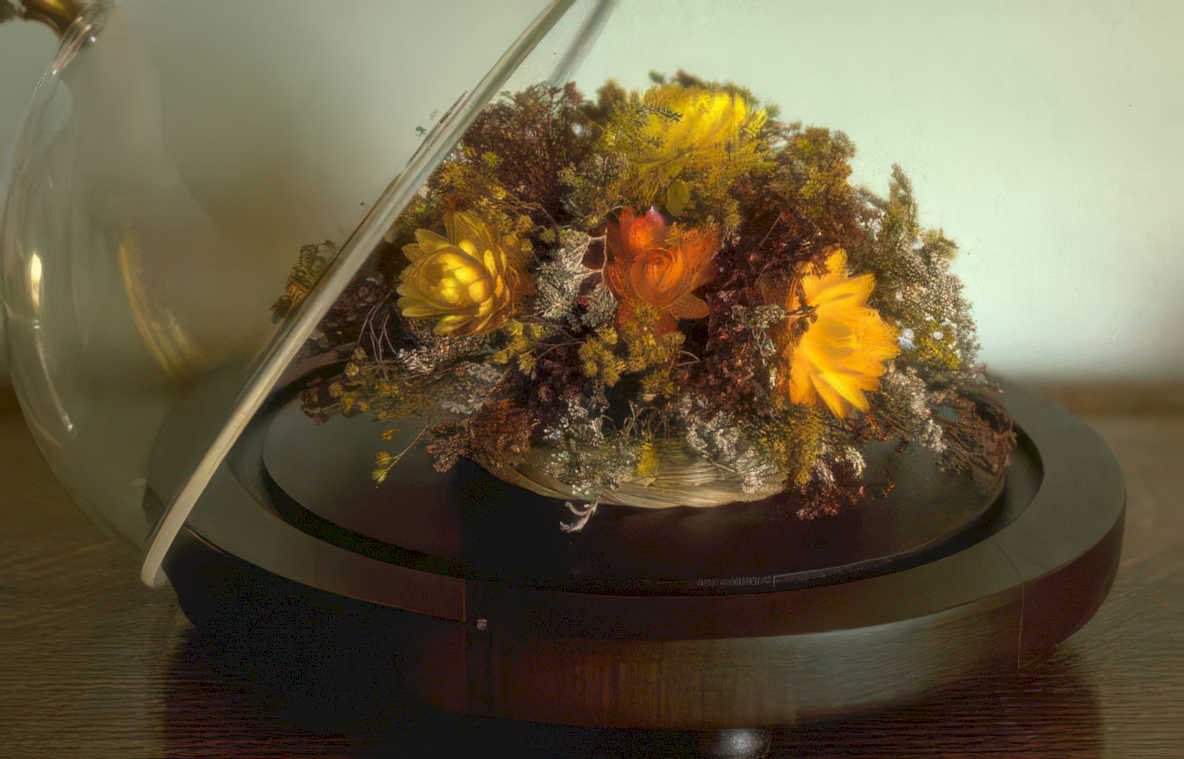 dried floral dome Vintage A4 Photo Print