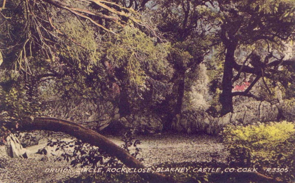 druids circle blarneyVintage 1880s 1900s A4 Photo Print