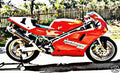 ducati 888 spo motorbike A4 Photo Print
