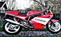 ducati 900 supersport motorbike A4 Photo Print