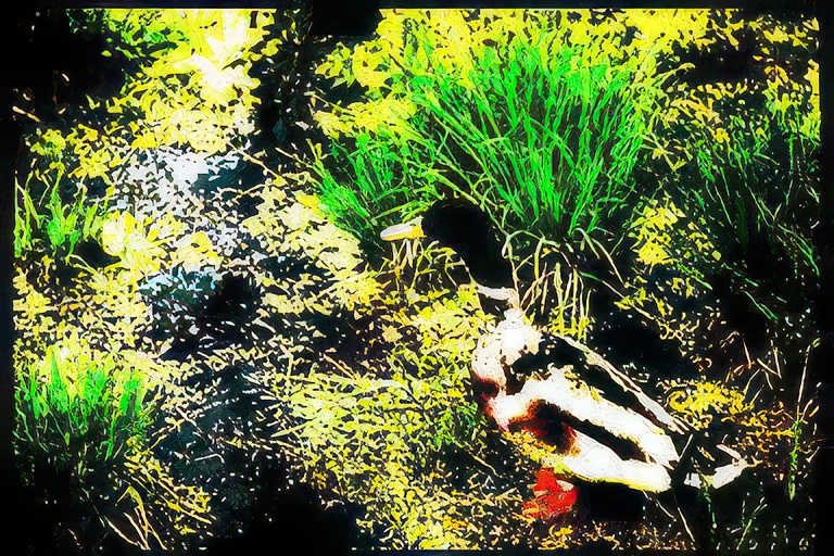 duck wetland summer Vintage A4 Photo Print