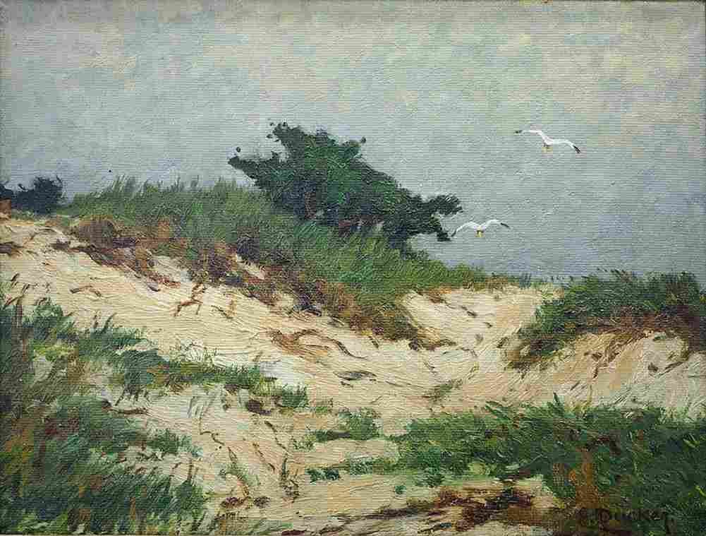 ducker eugene in the dunes Art A4 Photo Print