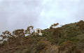 dume point arch Vintage A4 Photo Print