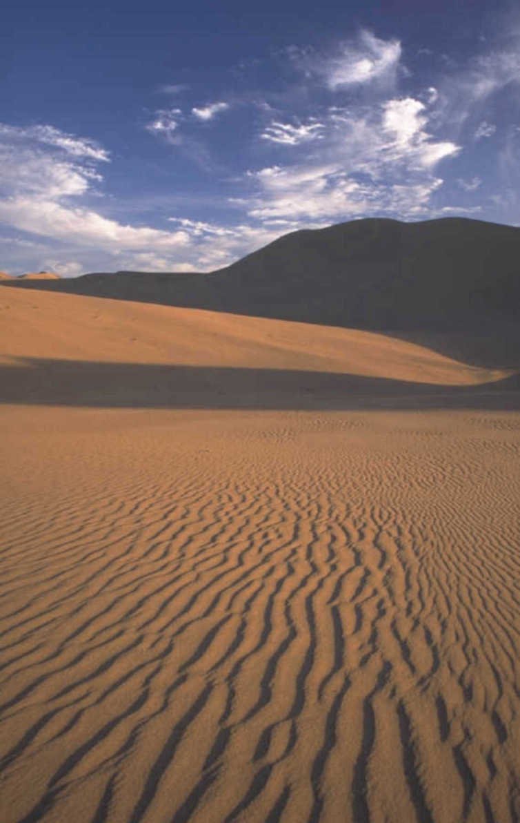dune field sandscape 1980s 1990s A4 Photo Print