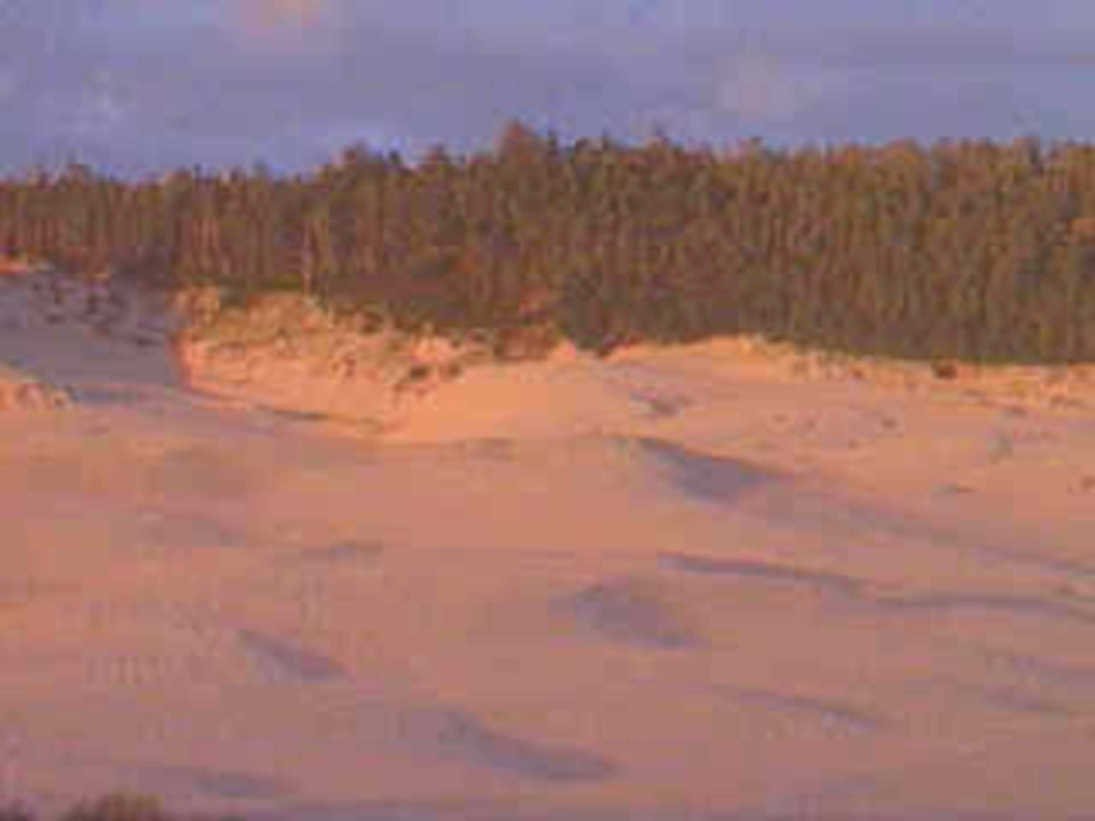 dunes sunset clouds1980s 1990s A4 Photo Print